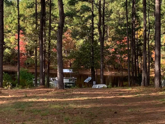 GOOD OL DAZE, LLC Picture 2
