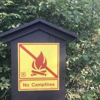 White Pine Lake Rustic Campground ico