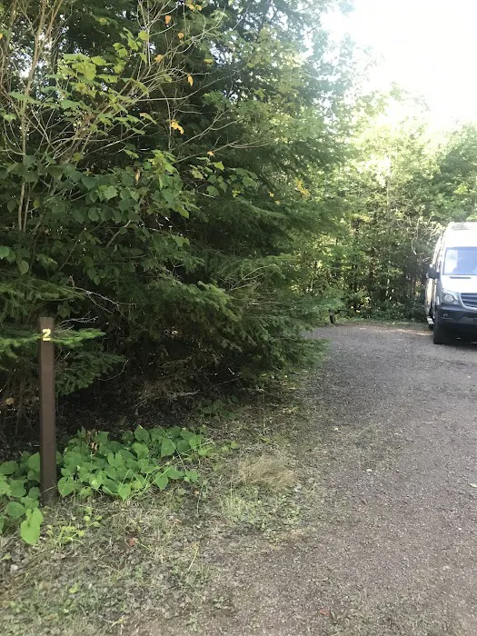 White Pine Lake Rustic Campground Picture 7