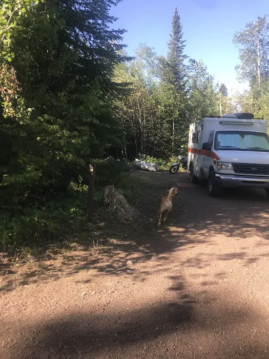 White Pine Lake Rustic Campground Picture 10