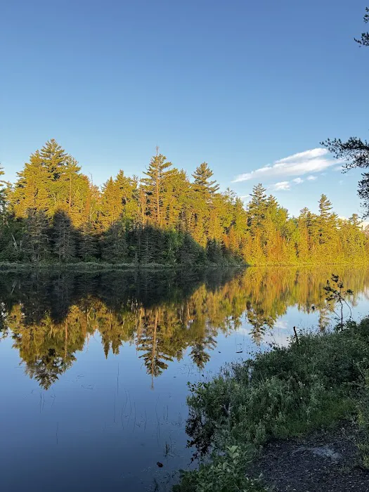 Kawishiwi Lake Rustic Campground Picture 1