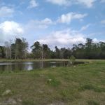 Gray's Landing RV Park, LLC