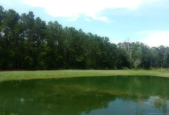 Gray's Landing RV Park, LLC Picture 3
