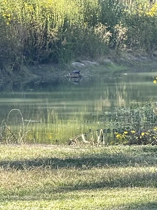 Texas Twelve RV Park Picture 4