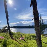BWCA Campsite
