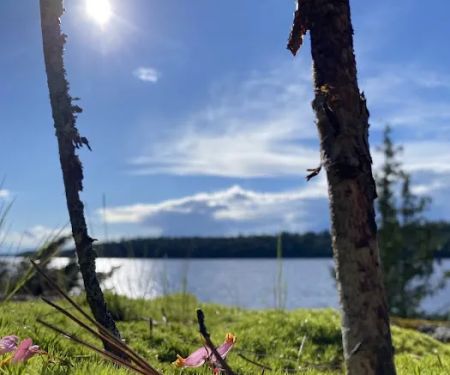 BWCA Campsite
