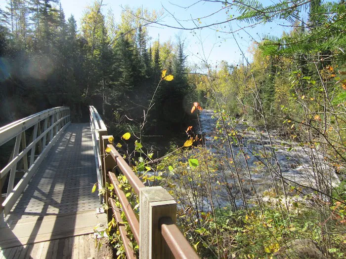 South Cross River Camp Picture 6