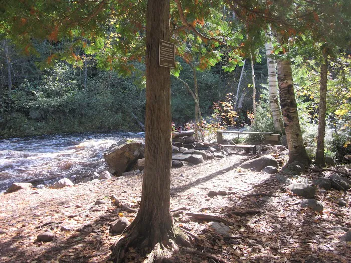 South Cross River Camp Picture 8