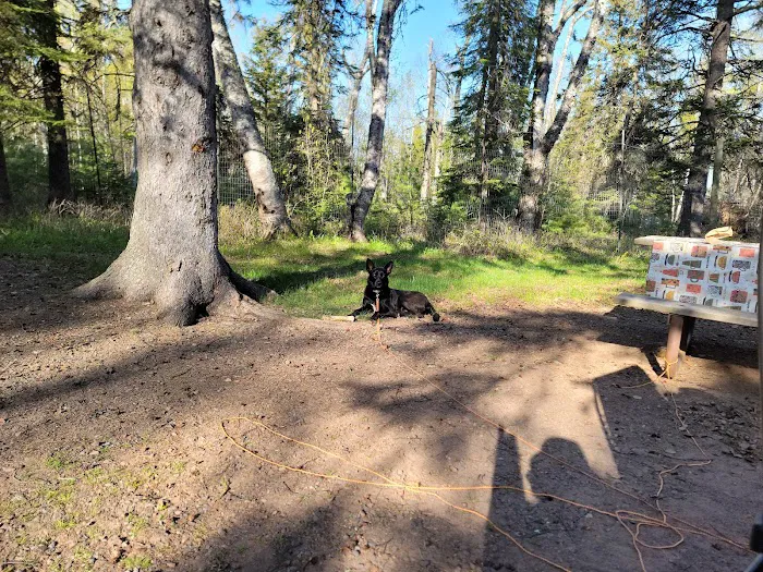 Temperance River Upper Campground Picture 7