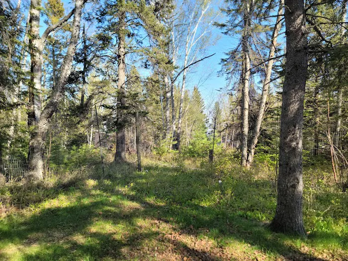 Temperance River Upper Campground Picture 10