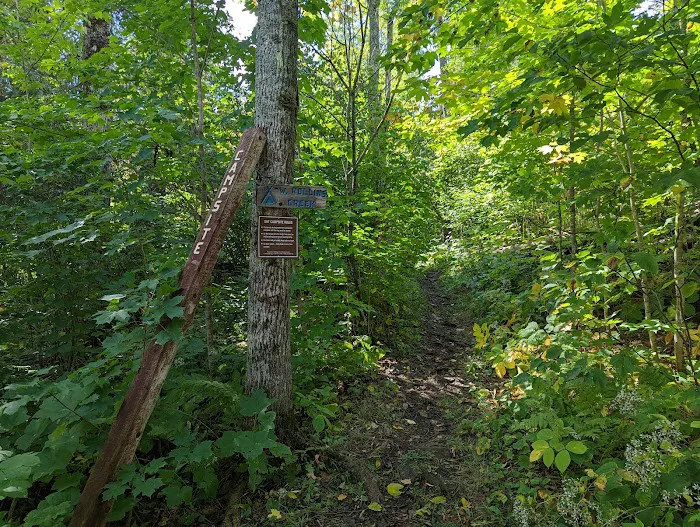 West Rollins Creek Camp Picture 1