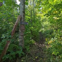 West Rollins Creek Camp ico