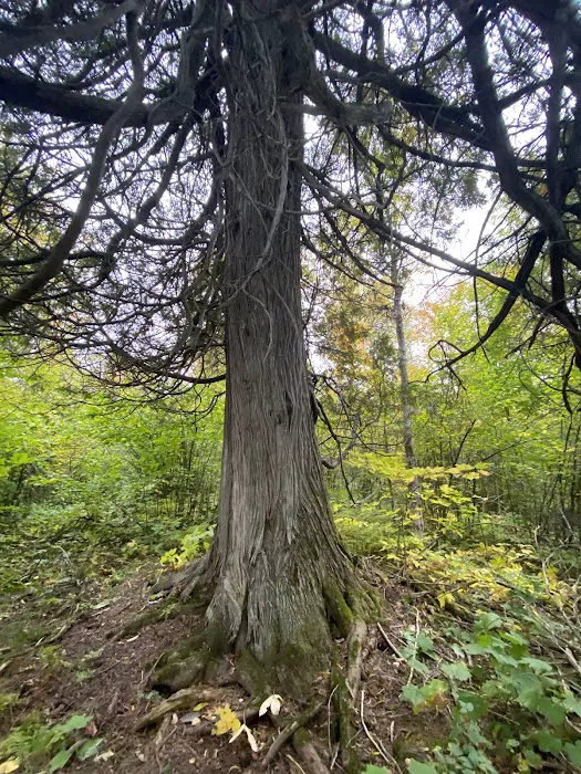 East Rollins Creek Camp Picture 1