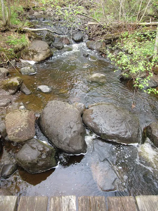 East Rollins Creek Camp Picture 3