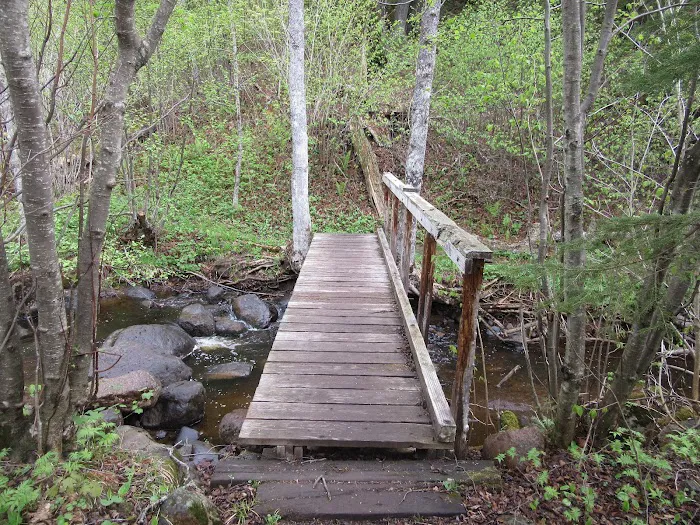 East Rollins Creek Camp Picture 5
