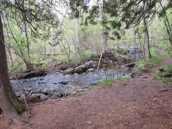 East Rollins Creek Camp Picture 9