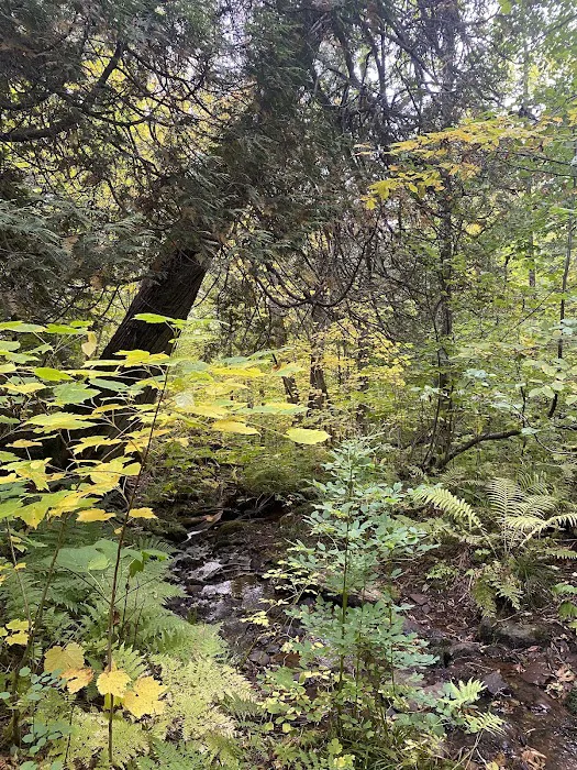 East Rollins Creek Camp Picture 8