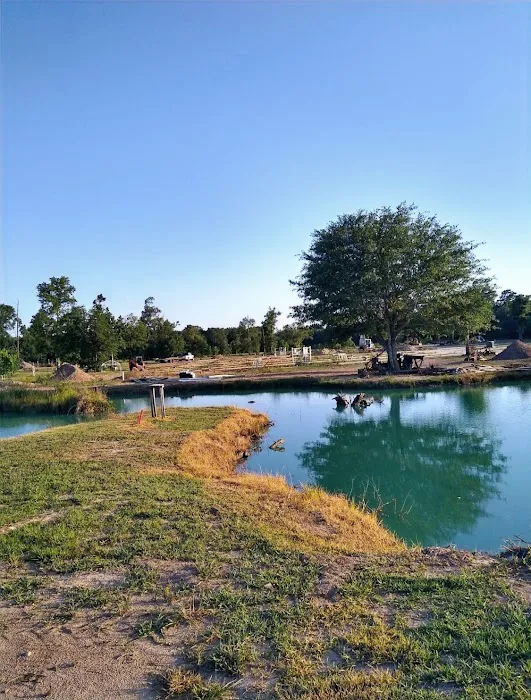 I-10 Orange RV Park Picture 4