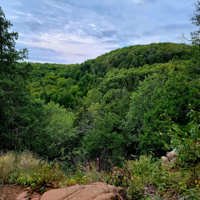 Mystery Mountain Camp Picture 2