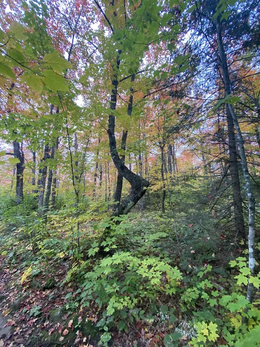 Mystery Mountain Camp Picture 4