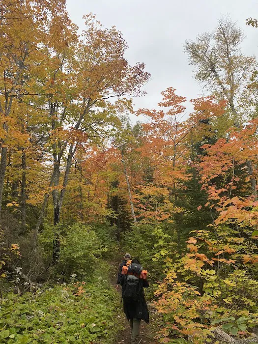 Mystery Mountain Camp Picture 5