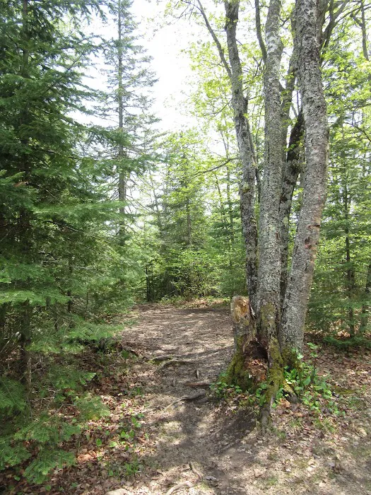 Mystery Mountain Camp Picture 6