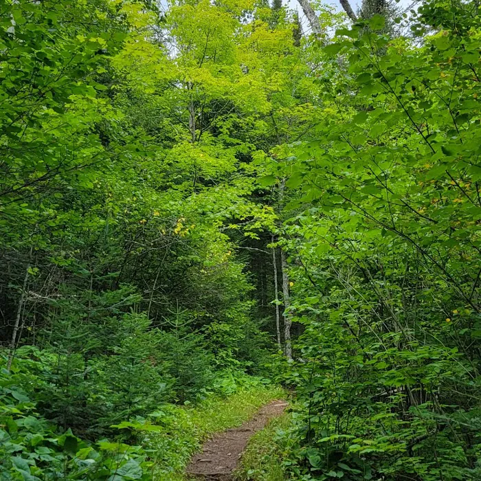 Mystery Mountain Camp Picture 8