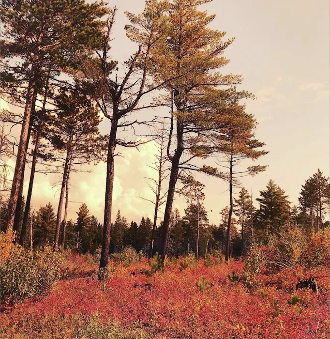Crescent Lake Campground Picture 9