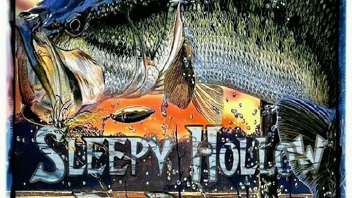 Sleepy Hollow RV Park Picture 2