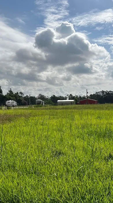 Country Livin' RV Park Picture 5