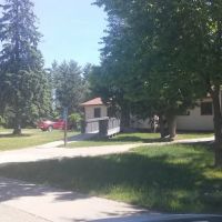 Forestry Department ico