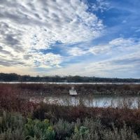 Area Two Campground ico