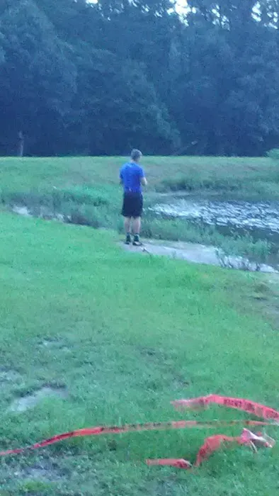 Lil Piney Park Picture 9