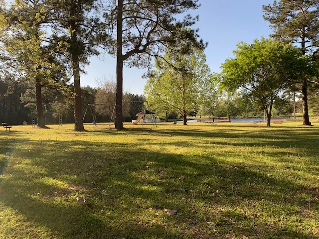 Lil Piney Park Picture 5
