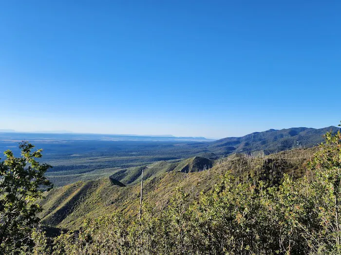 Capilla Peak Campground Picture 7