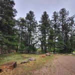 New Canyon Campground