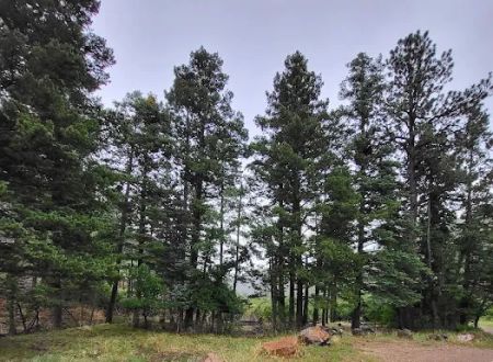 New Canyon Campground