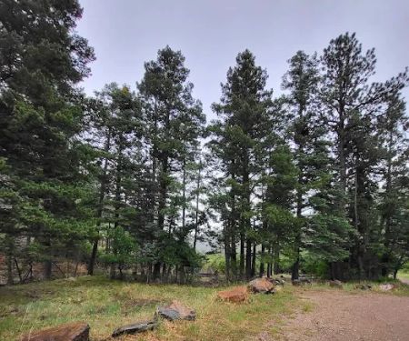 New Canyon Campground