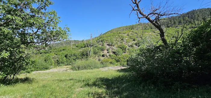 New Canyon Campground Picture 2