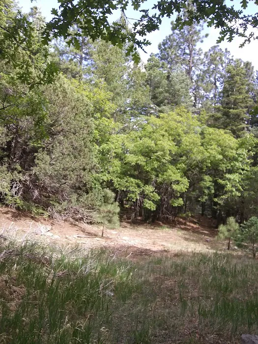 New Canyon Campground Picture 10