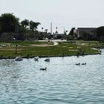 Del Prado Mobile Home Park