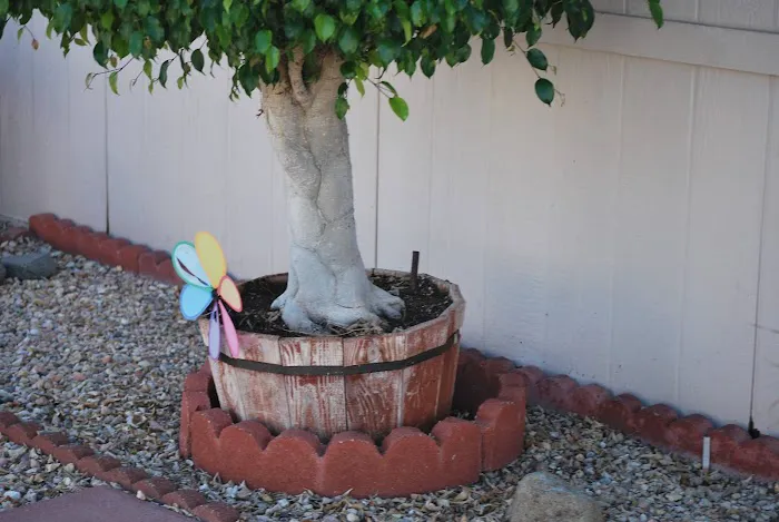 Magic Lamp Mobilehome Community Picture 5