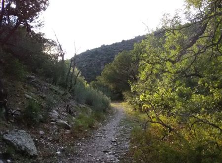Comanche Trailhead (recgovnpsdata)