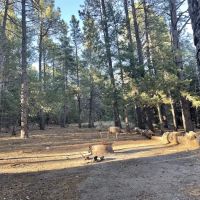 Red Canyon Campground ico