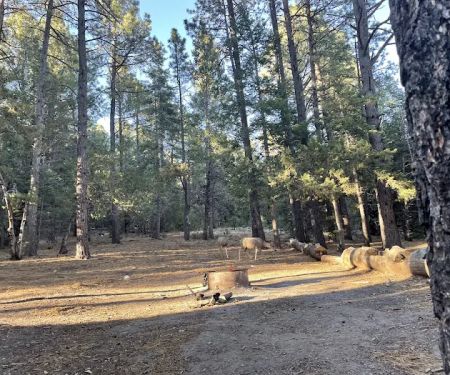 Red Canyon Campground