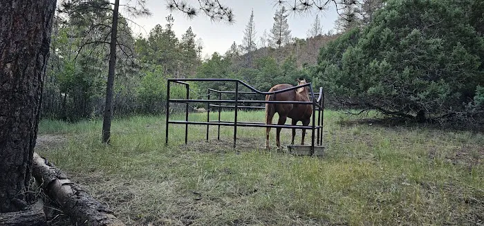Red Canyon Campground Picture 6