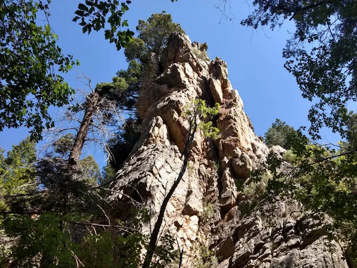 Red Canyon Campground Picture 4