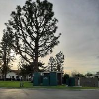 Plaza Pines Estates ico