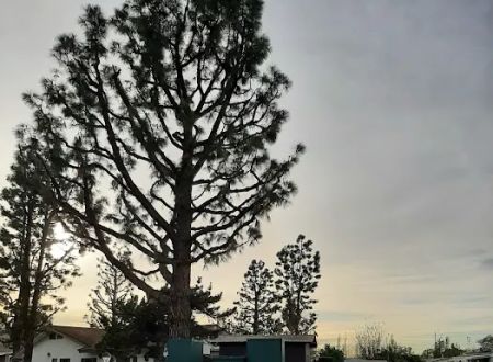 Plaza Pines Estates