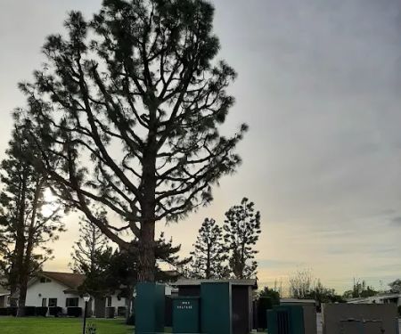 Plaza Pines Estates